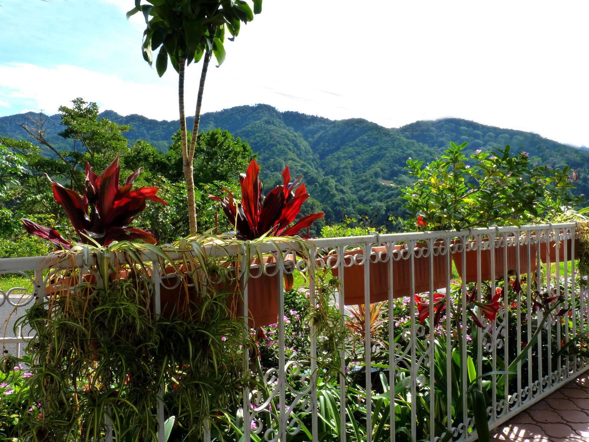 Autana Bed & Breakfast Boquete Luaran gambar
